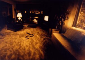 Sin título (1988) - Bárbara Ess