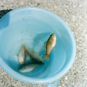 Utatane (121) (2001) - Rinko Kawauchi