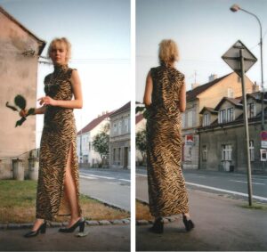 Ann Sofi Sidén - "2 x Eva (2001)"